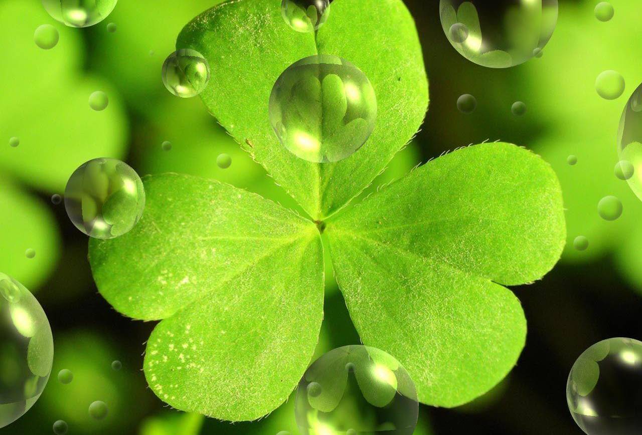 Just around the corner