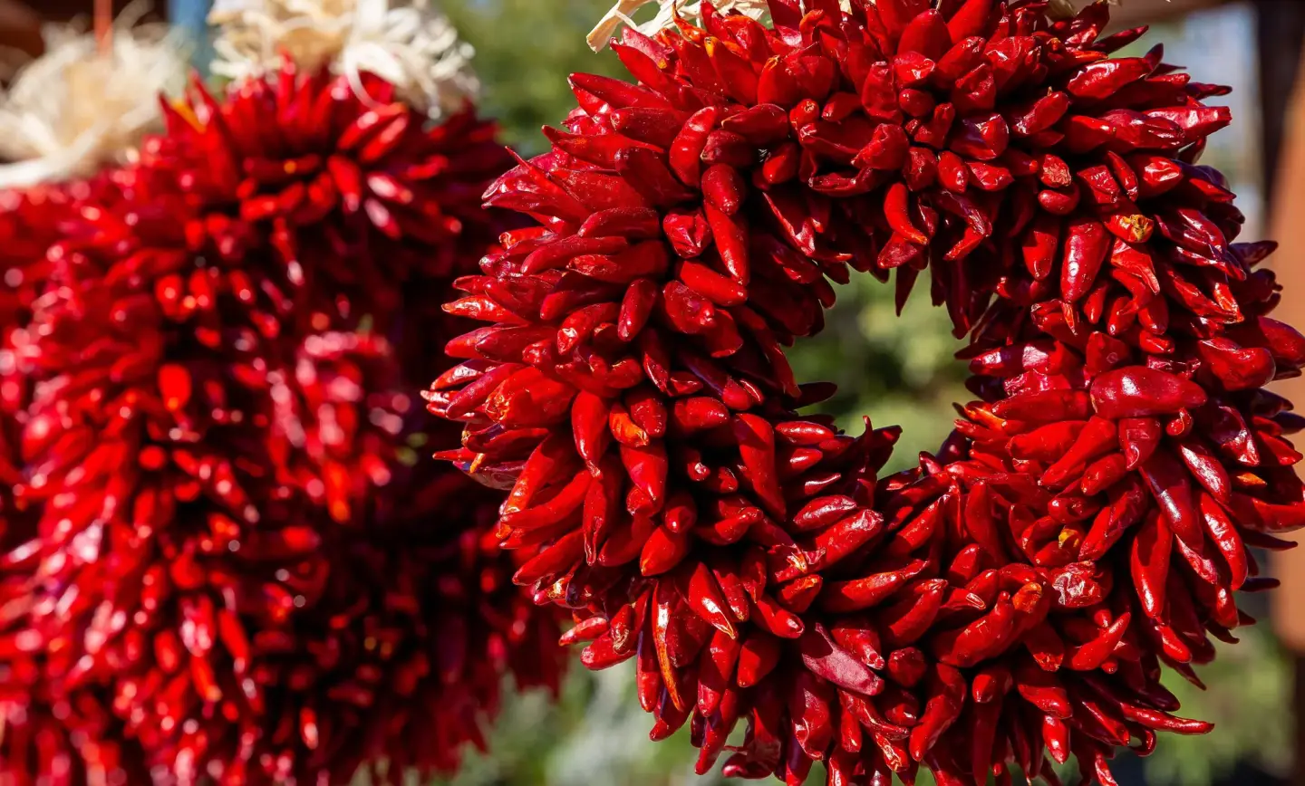 Season’s Blessings to Everyone!